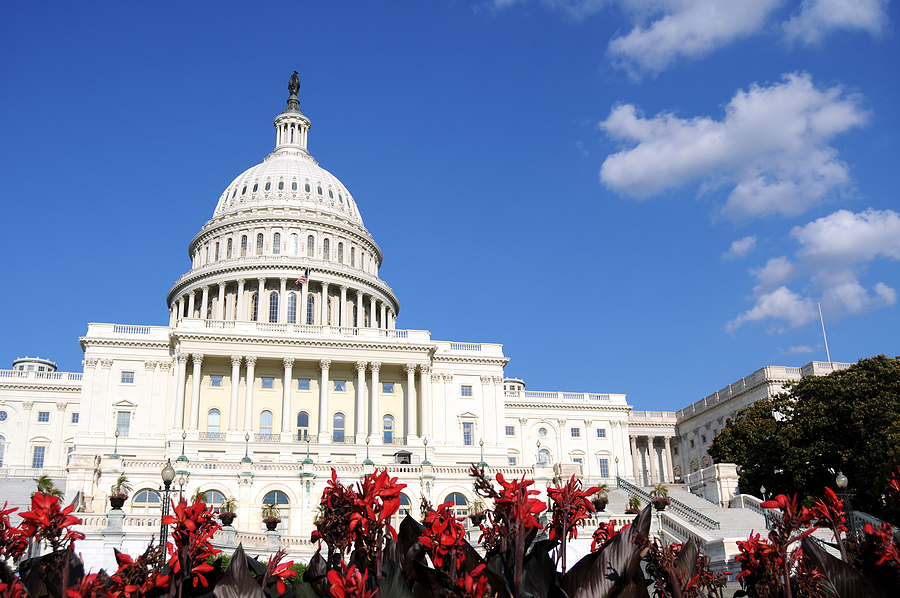 Veterinary programs to be reauthorized in new <i>Farm Bill</i>
