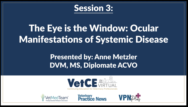 The Eye is the Window: Ocular Manifestations of Systemic Disease