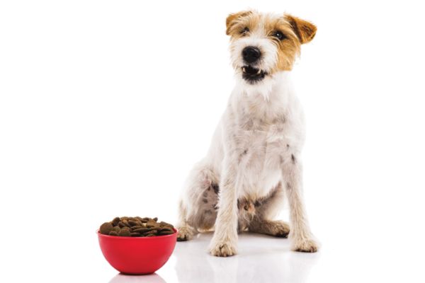 Managing chronic diarrhea with diet