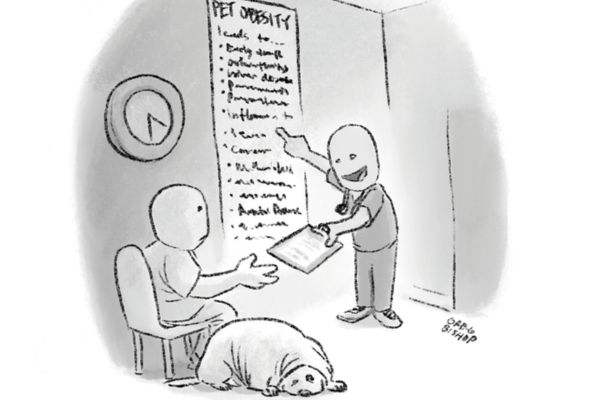 The Lighter Side: 