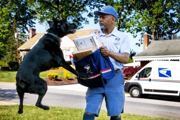 Campaign calls for responsible dog ownership to keep letter carriers safe