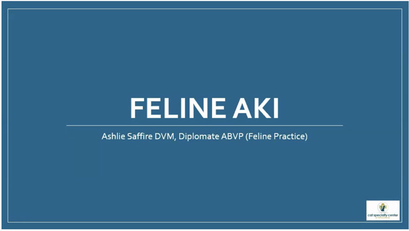 Feline Acute Kidney Injury