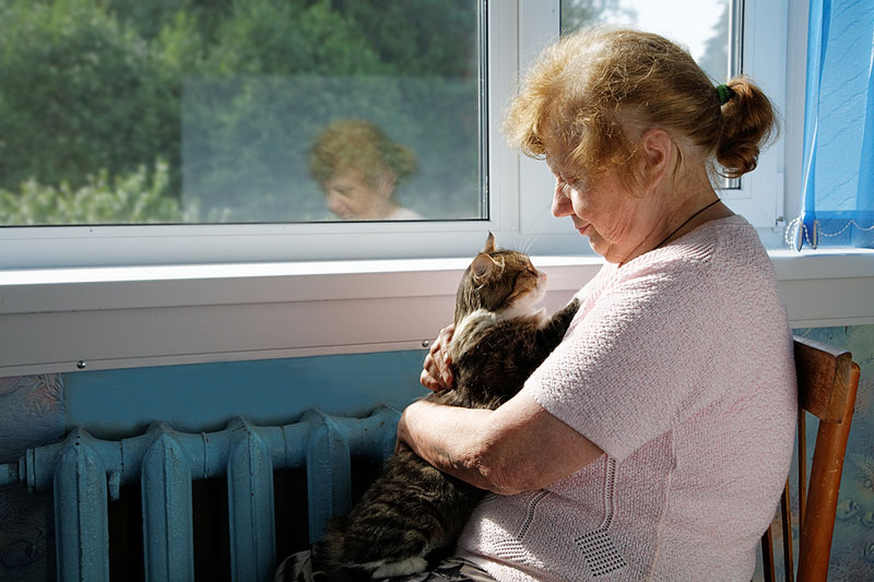 Tech Talk: Ensuring cat caregivers have veterinary support
