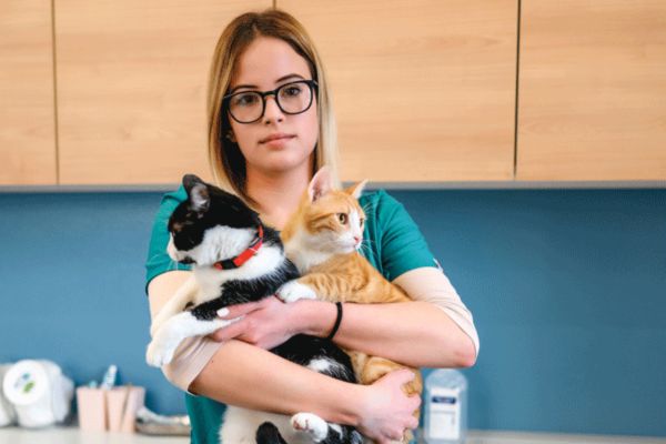 Why do vets increasingly shun practice ownership?