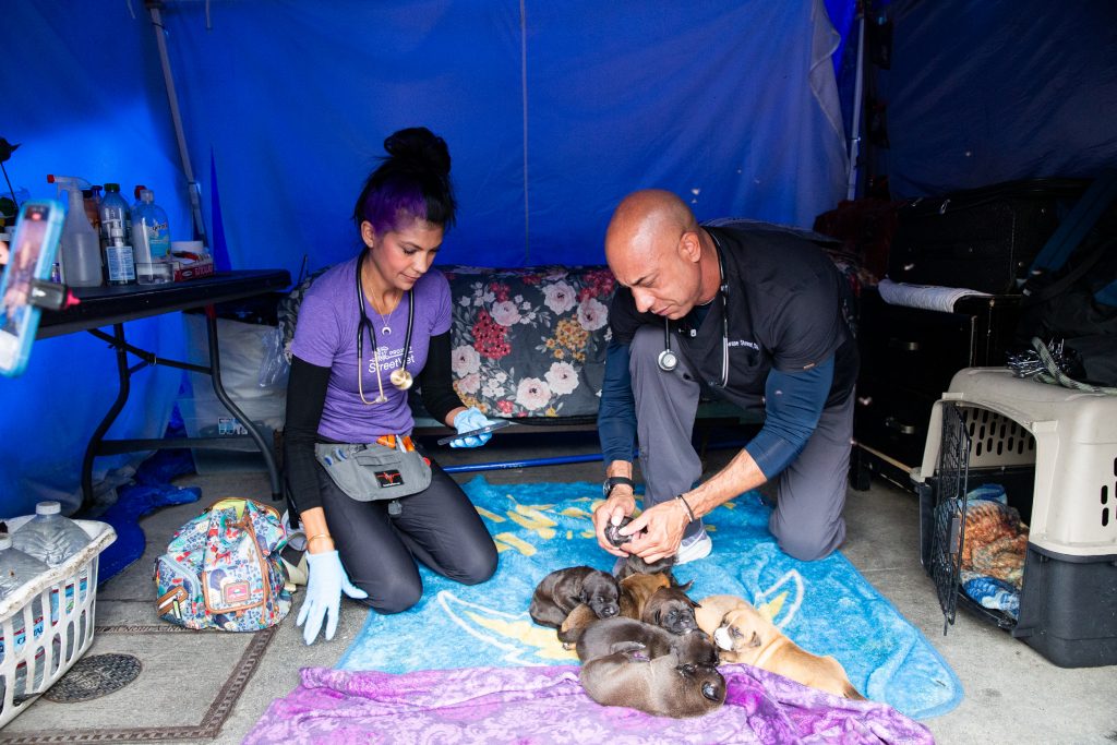 Free veterinary care, supplies offered to pets in unhoused communities in a multi-city tour