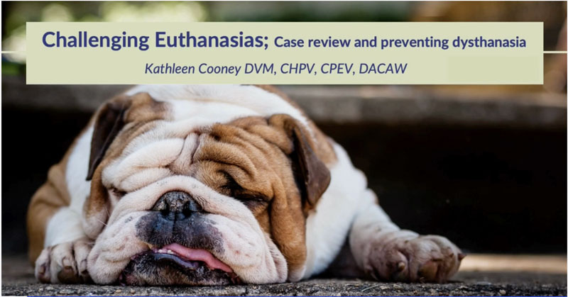Challenging Euthanasias: Case review and Preventing Dysthanasia