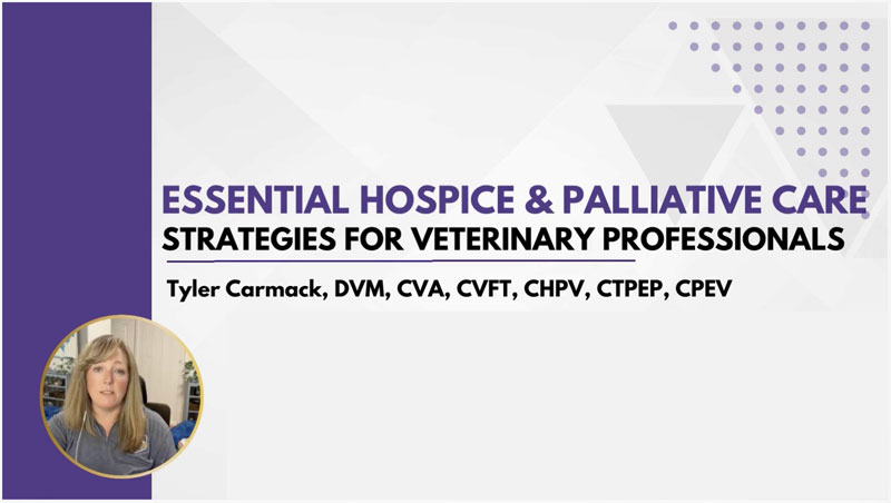 Essential Hospice and Palliative Care Strategies for Veterinary Professionals