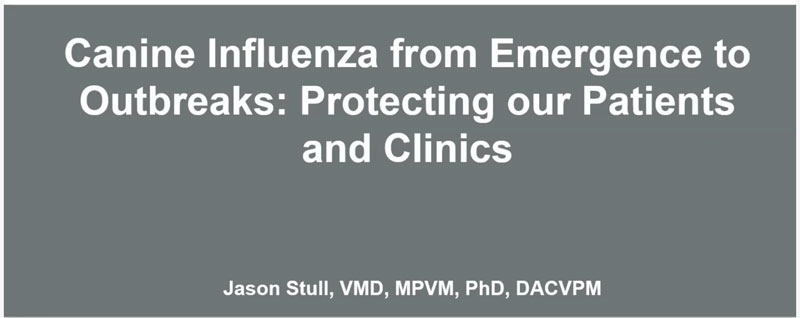 Canine Influenza from Emergence to Outbreaks: Protecting Our Patients and Clinics