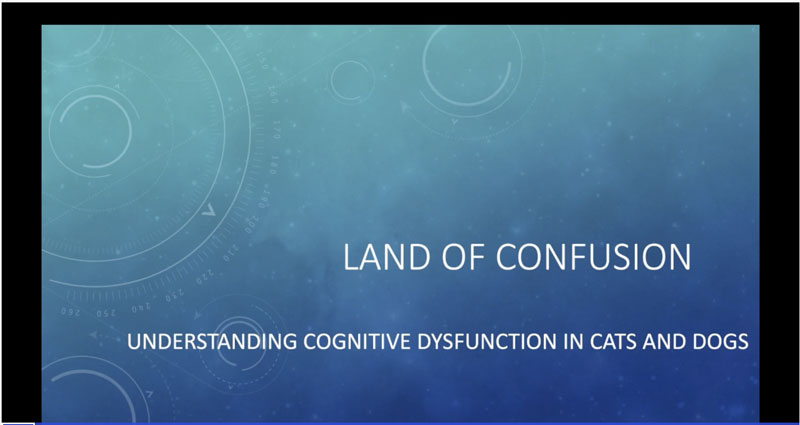 Land of Confusion: Cognitive Dysfunction in Cats and Dogs