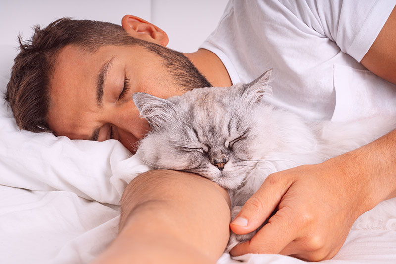 Supplemental insight on melatonin