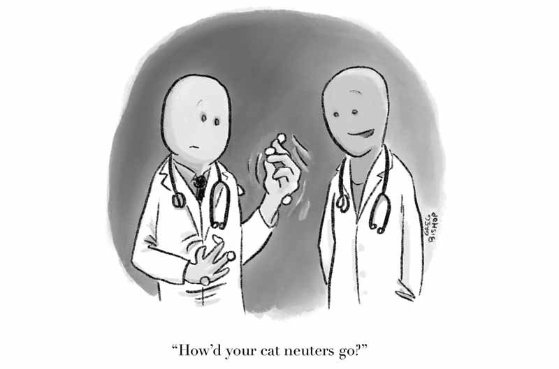 An illustration of two veterinarians, with one showing his wounded hand after a cat neuter procedure.