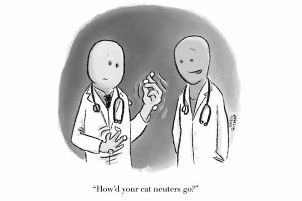 The Lighter Side: 'Snip, Snip, Meow!'