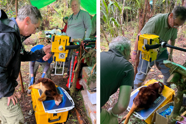 A research expedition highlights wildlife conservation, One Health perspective