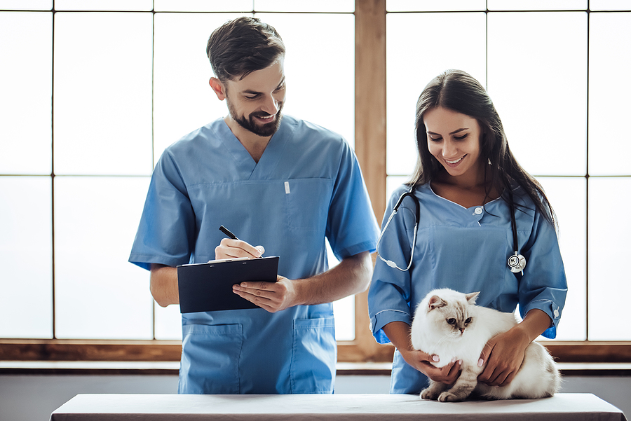 Mid-level practitioner role approved in Colorado