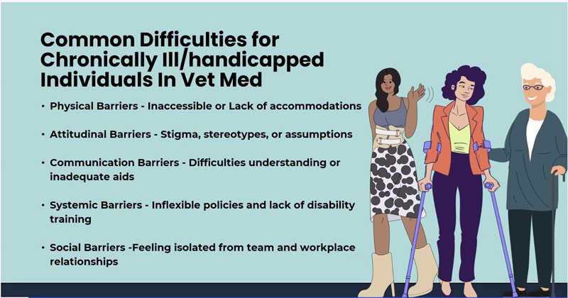 Inclusive Leadership: Integrating Chronically Ill and Handicapped Professionals in Veterinary Practices