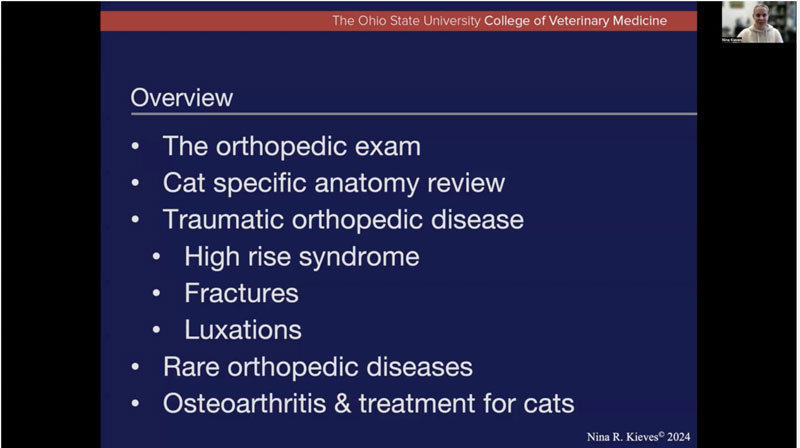 You've Gotta Be Kitten Me, Cats Get Orthopedic Disease Too?