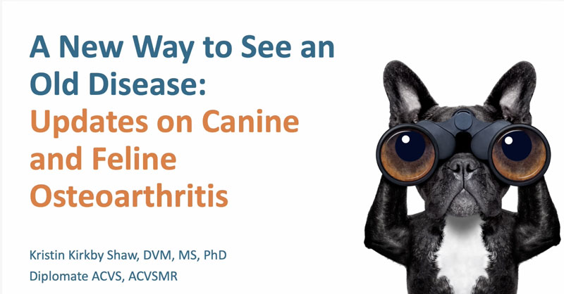 A New Way to See an Old Disease: Updates on Canine and Feline Osteoarthritis