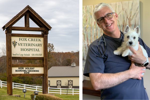A vet's success story in practice co-ownership