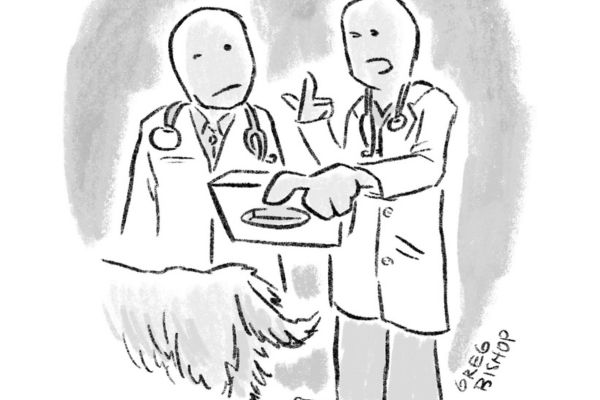 The Lighter Side: 'One More Reason'