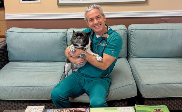 A male veterinarian holds a French bulldog while sitting on a couch inside a clinic. 