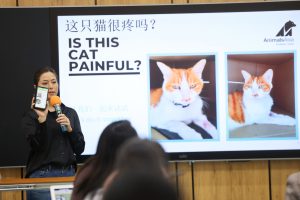A female speaker presents to an audience in a conference.