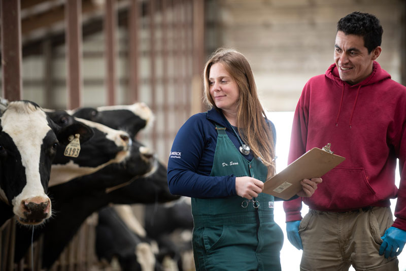 A realistic approach to managing mastitis