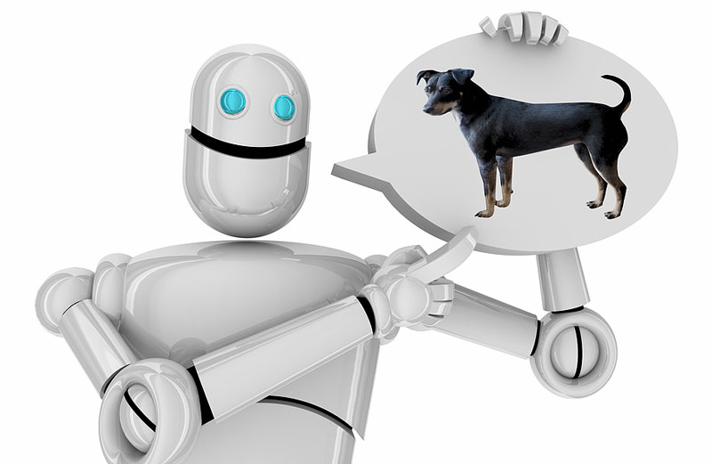 Top 10 life hacks for veterinarians courtesy of an AI bot