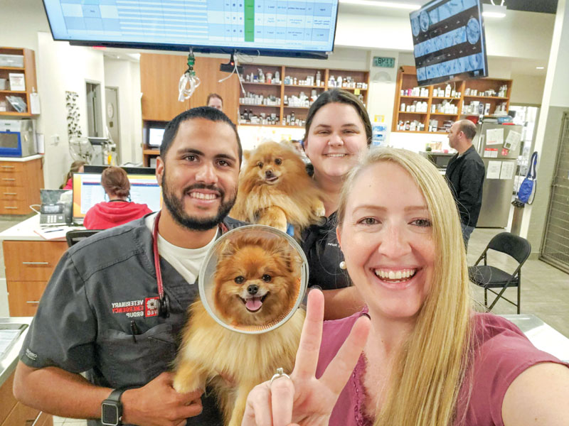 How to better utilize vet techs