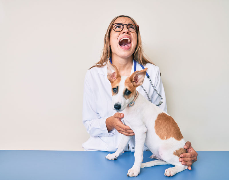The 9 unexpected struggles of an ex-owner