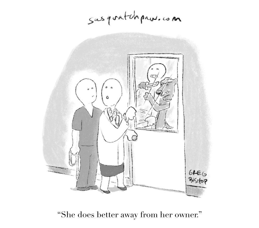An illustration of a pet owner, a veterinarian, and a pet in the clinic.