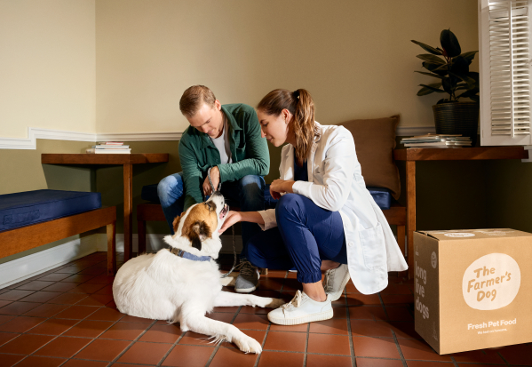 Veterinary nutrition residency funded at the University of Tennessee