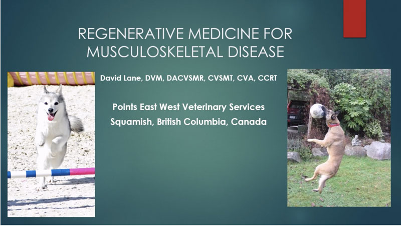 Regenerative Medicine for Musculoskeletal Disease