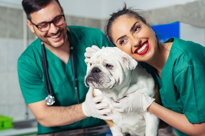 Tech Talk: Why 'veterinary technician' deserves protection—now more than ever
