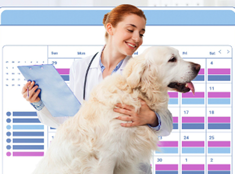 Life Gets Busy, Stay ON POINT With Cytopoint<sup>®</sup>