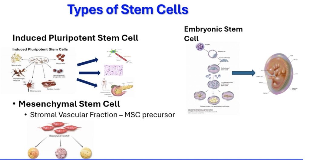 Regenerative Medicine Applications for Bacterial Infections and Inflammatory Bowel Disease in Cats and Dogs