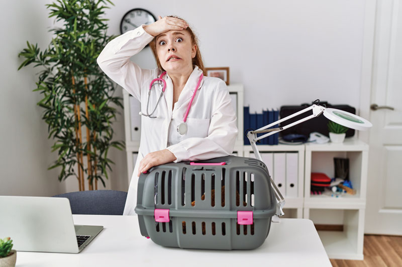 5 emotional triggers in the vet workplace (and how to defuse them)