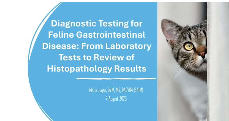Diagnostic Testing for Feline GI Disease: From Laboratory Tests to Review of Histopathology Result