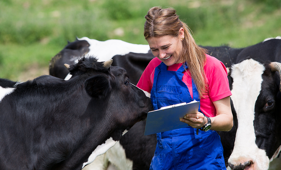 Florida moves to reclassify xylazine with veterinary exemption