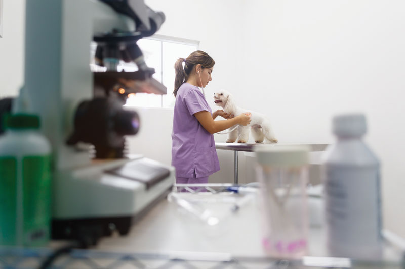 The role of AI in cancer diagnostics
