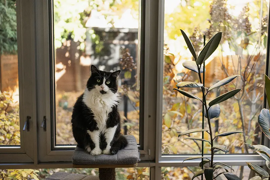 Ready to bite back against parasites? Take the test.