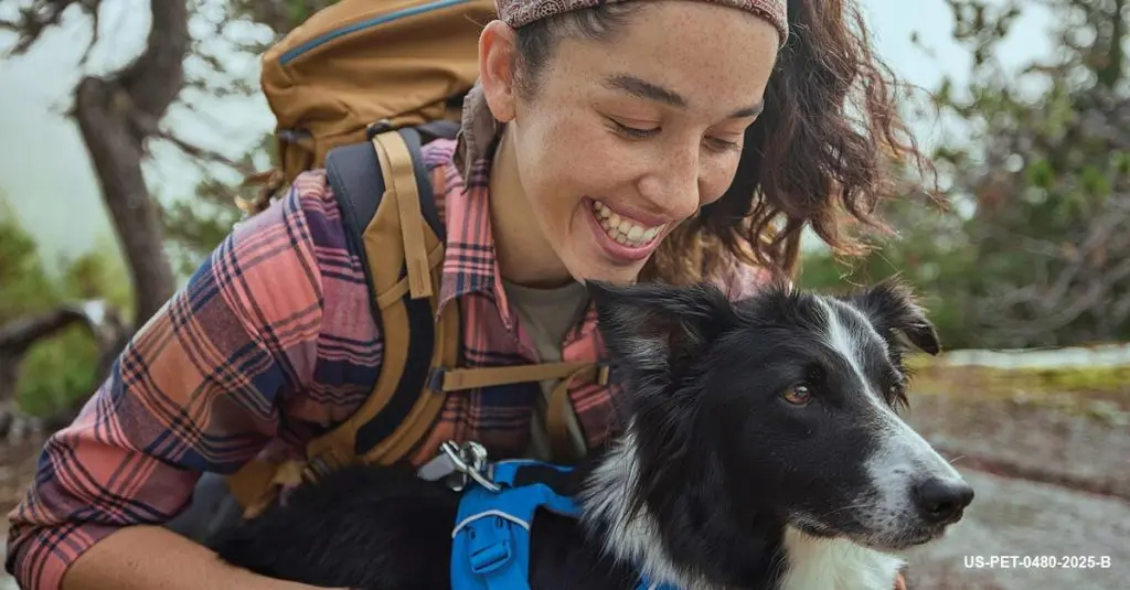 Year-Round Tick Control is Important