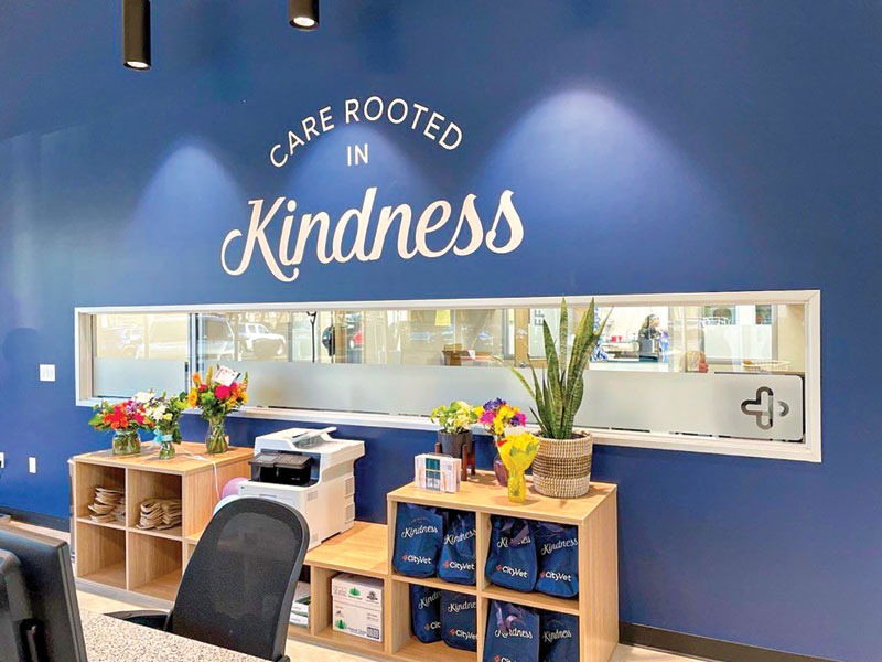 Expanding your practice? A guide to brand design consistency