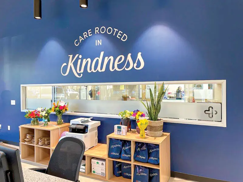 Expanding your practice? A guide to brand design consistency