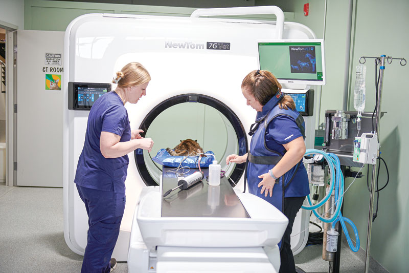 Exploring the adoption and use of CT