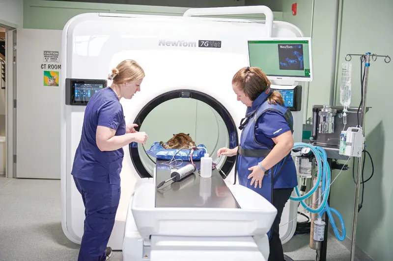 Exploring the adoption and use of CT