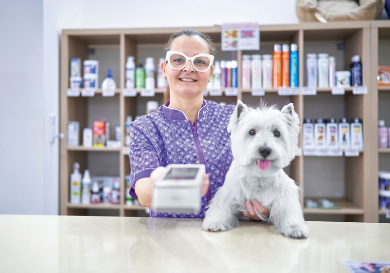 Should you implement credit card surcharges?