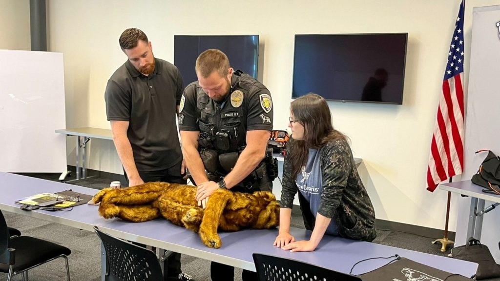 Working dog teams learn life-saving veterinary skills in recent training program