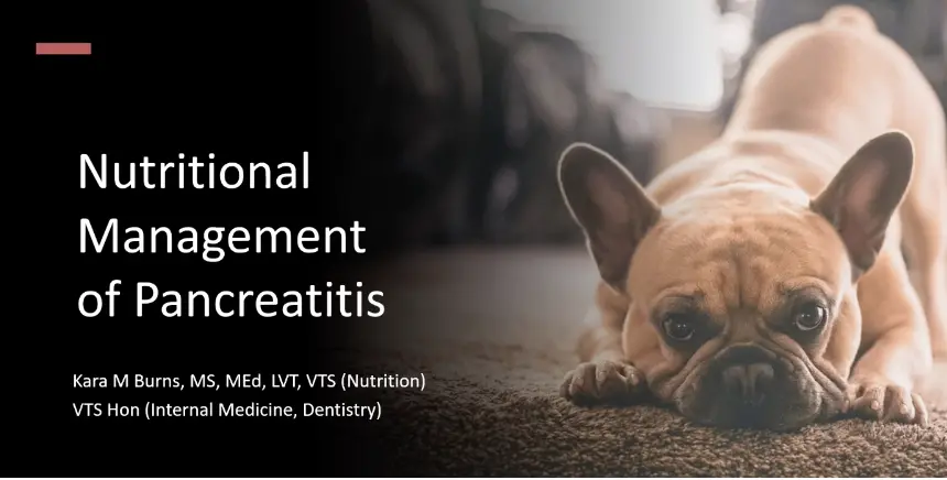 Nutritional Management of Pancreatitis