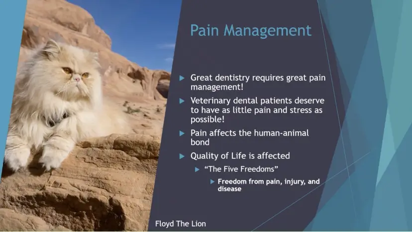 No Pain is ALL Gain!