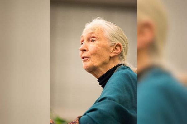 Jane Goodall, ethologist and environmentalist, passes away at 91